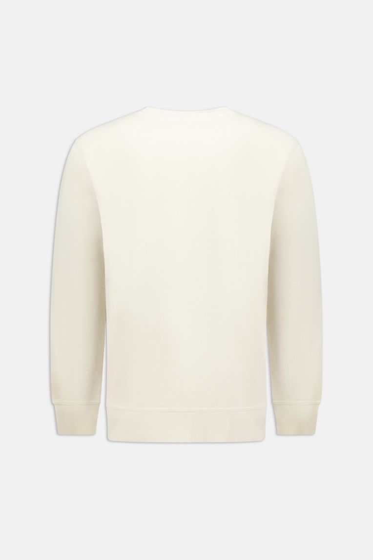 BASIC SWEATER